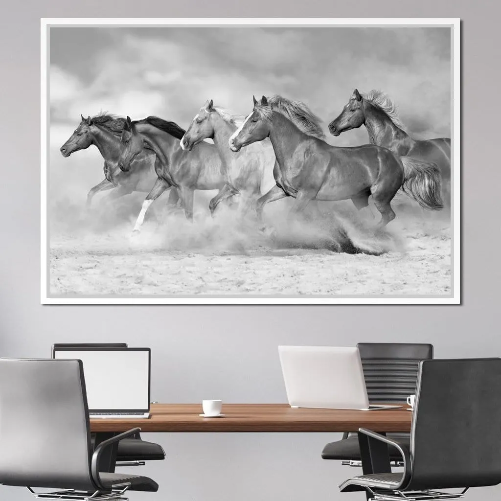 Black & White Horses Herd