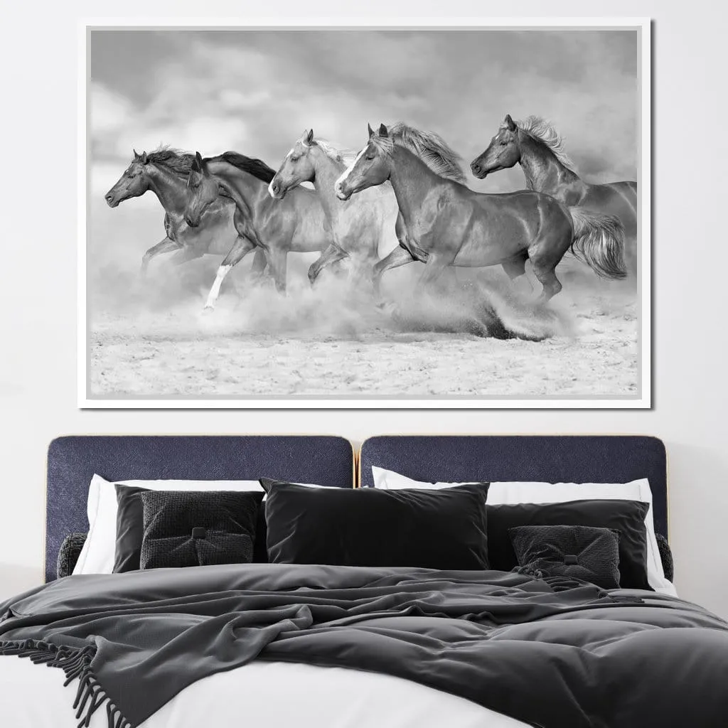 Black & White Horses Herd