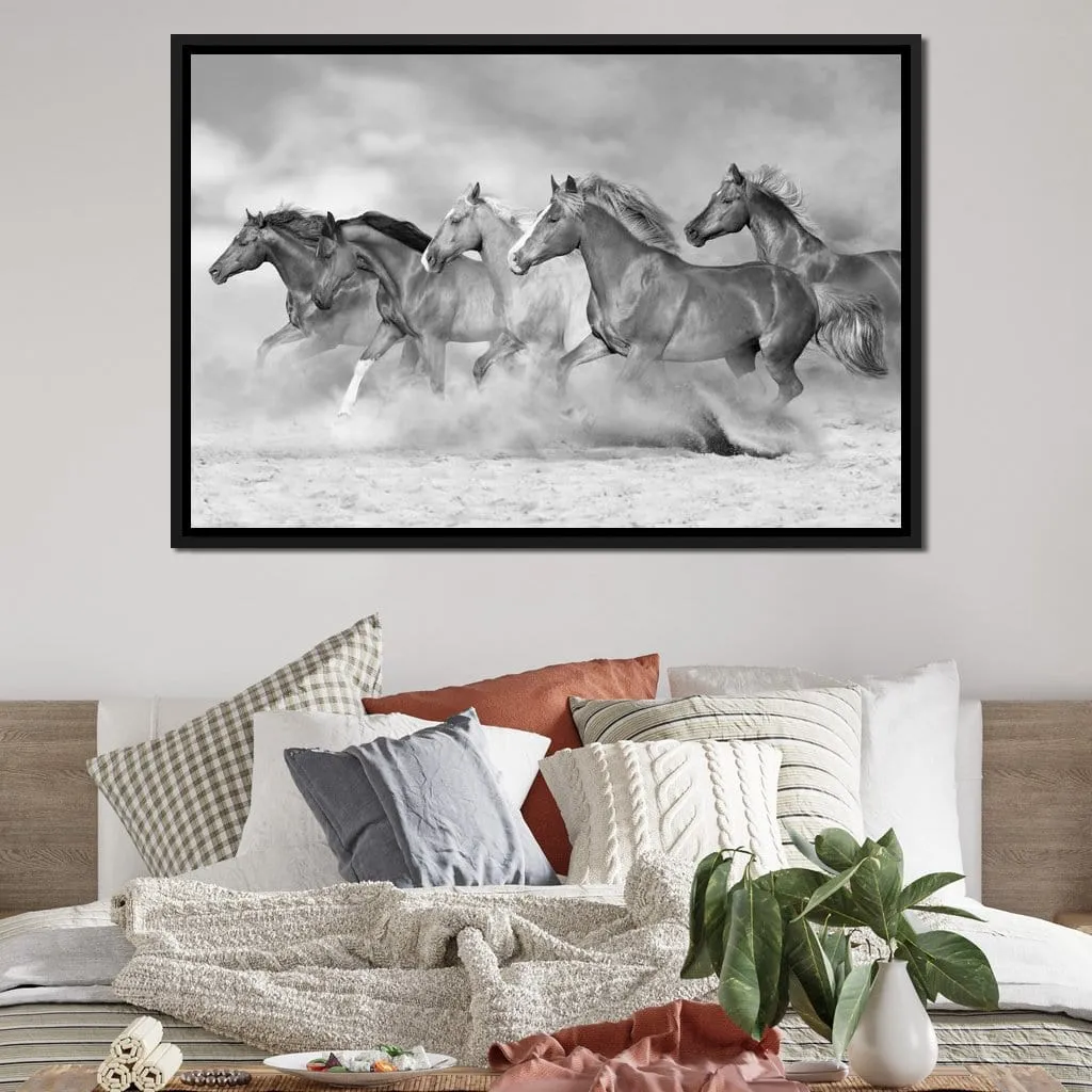 Black & White Horses Herd