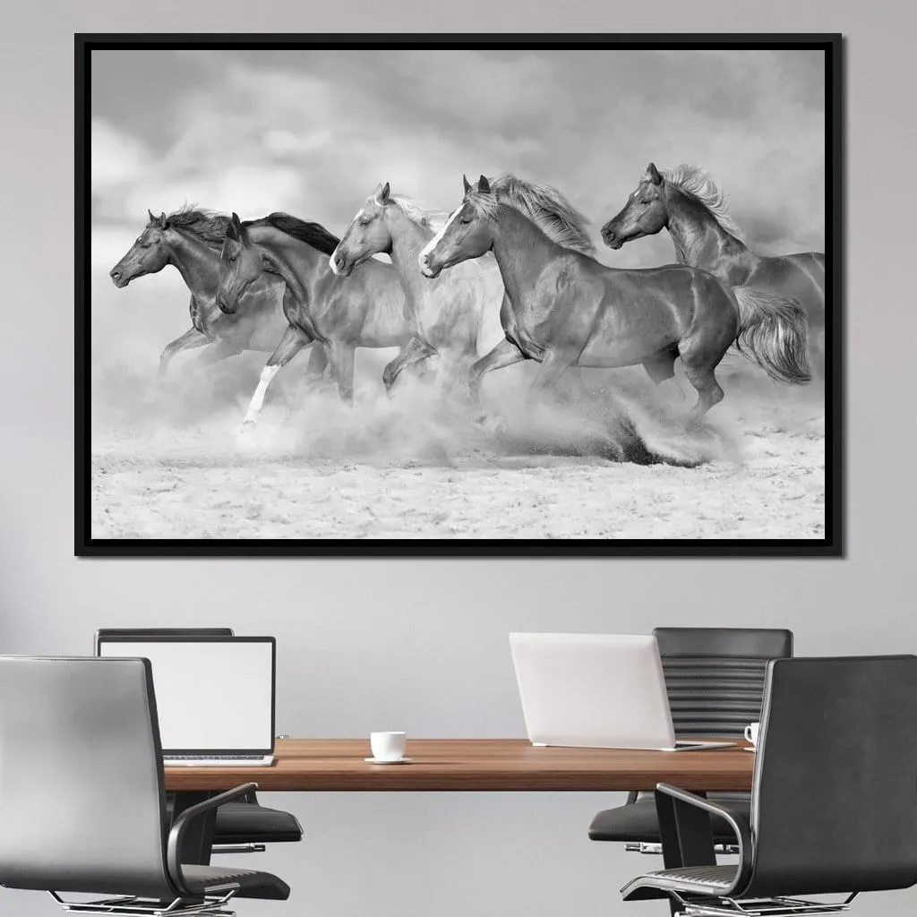 Black & White Horses Herd