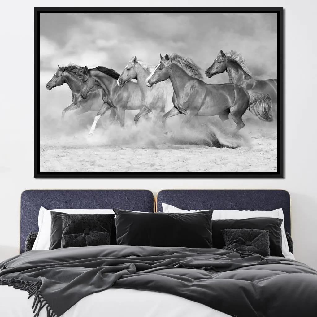 Black & White Horses Herd