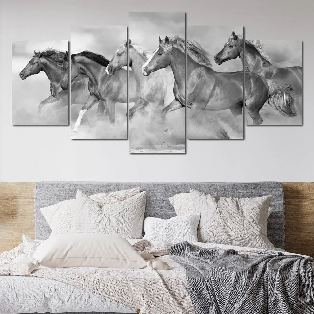 Black & White Horses Herd