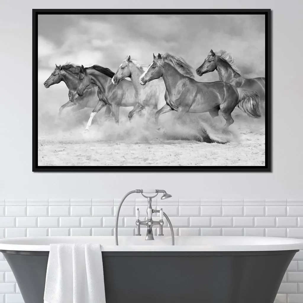 Black & White Horses Herd