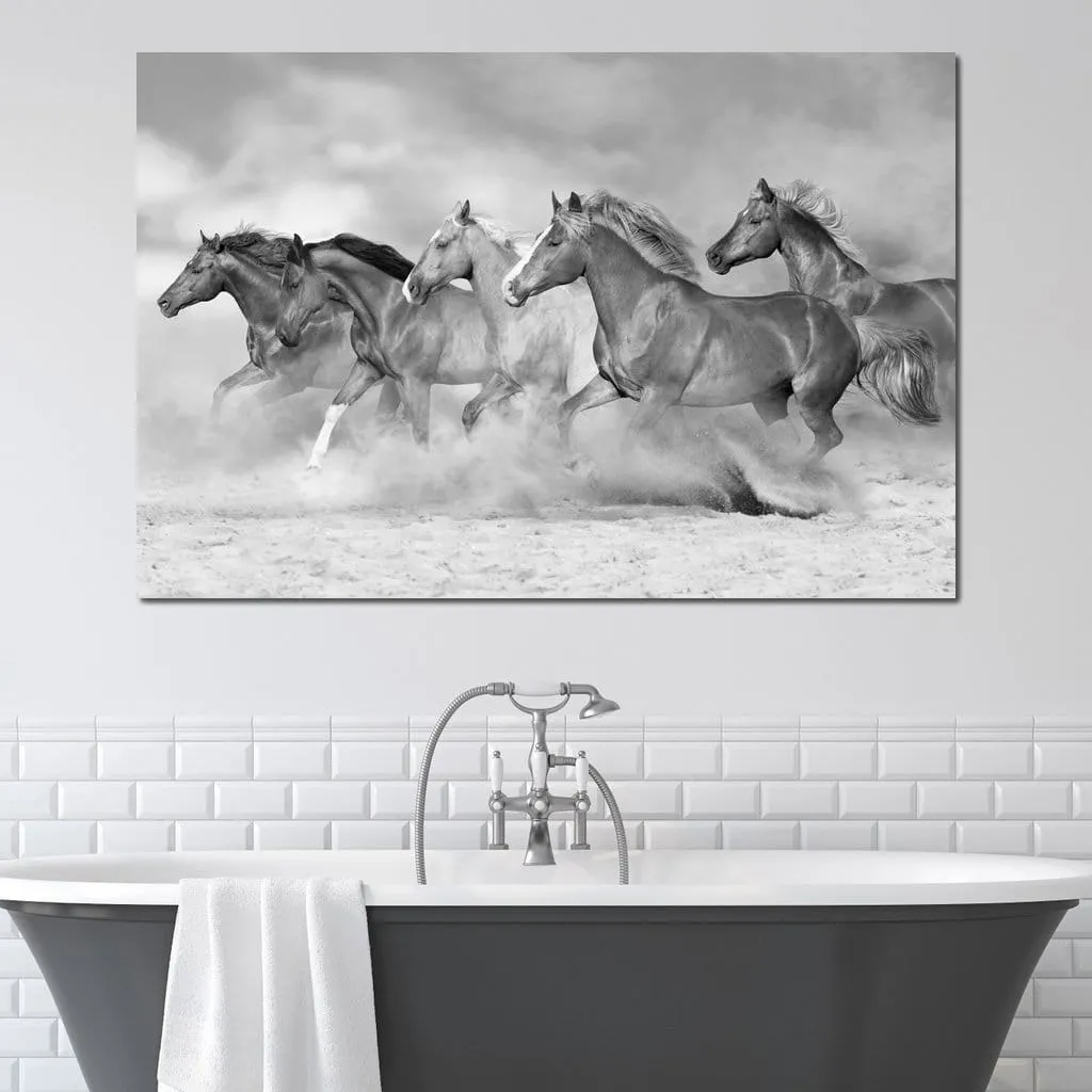 Black & White Horses Herd