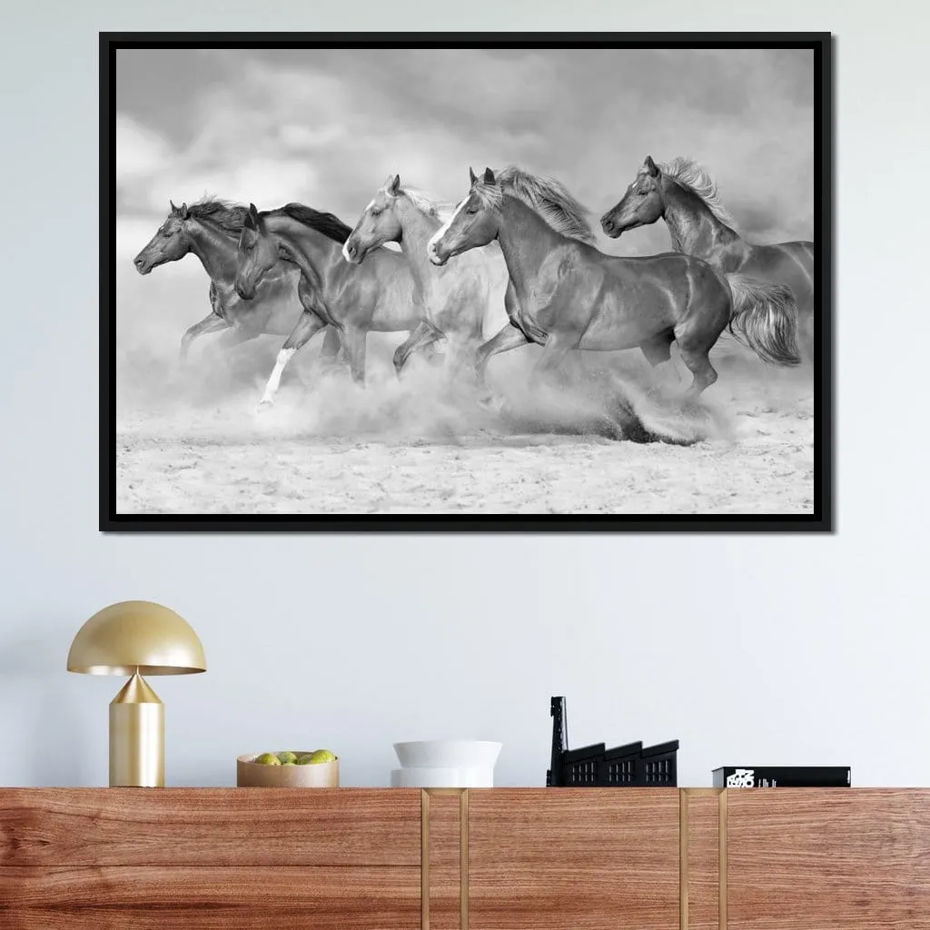 Black & White Horses Herd