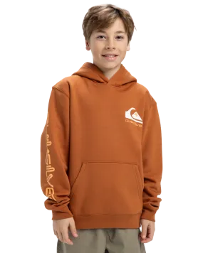 Boys Omni Logo Hoodie in Bran