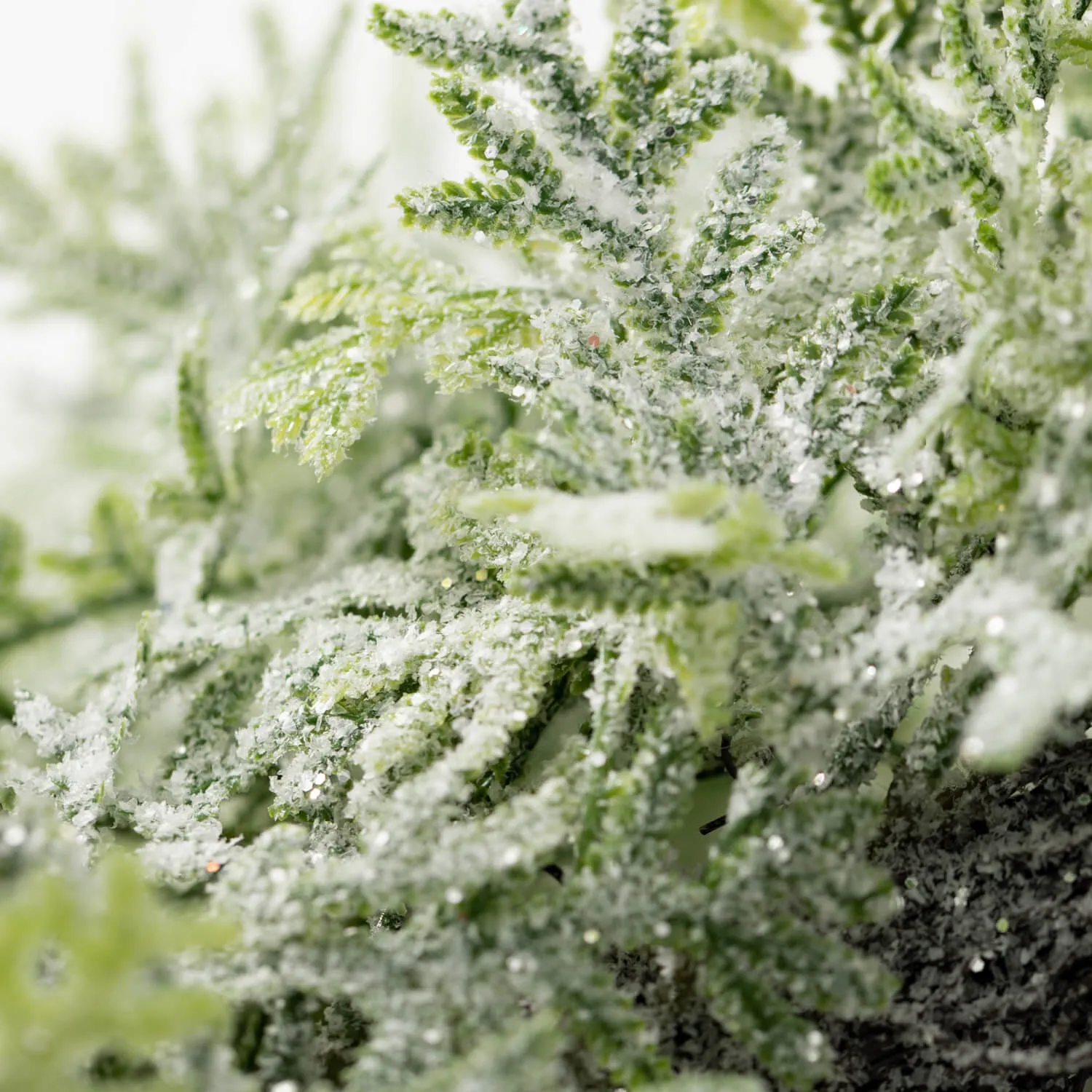 Full Frosted Fern Wreath