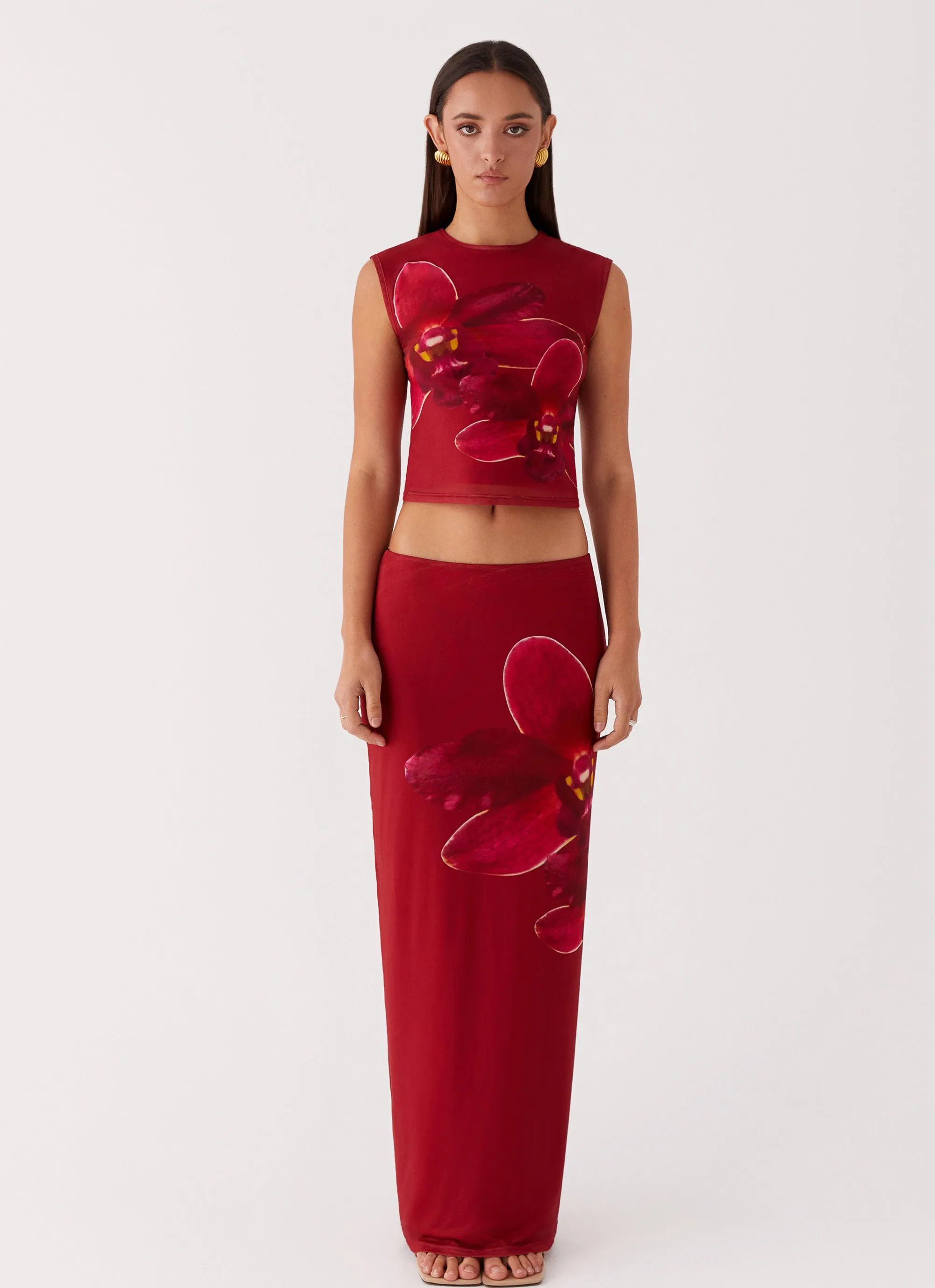 Waiting For Dawn Mesh Maxi Skirt - Rosa